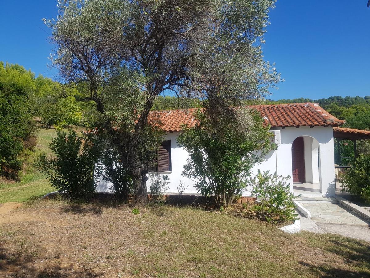 Kaiti Villa 4 Koukounaries Esterno foto